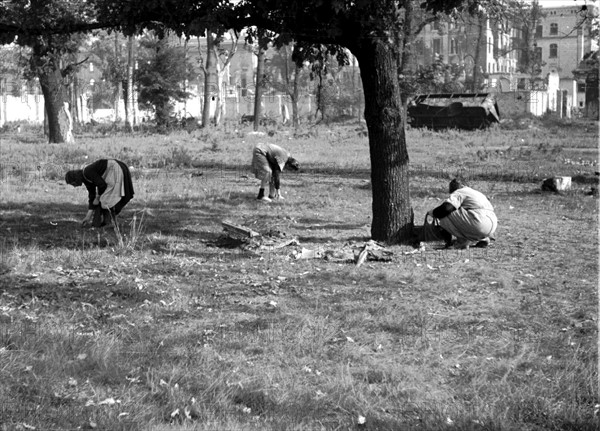 Trümmerfrauen" (women who clear away rubble after bombing)