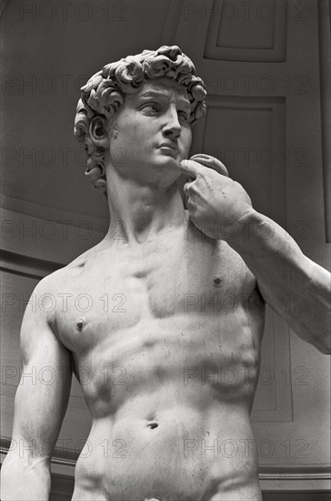 Statue of David by Michaelangelo, Cropped