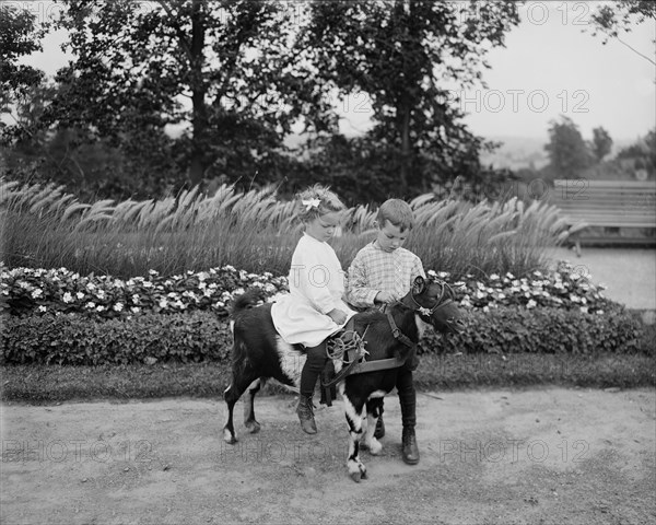 Young Boy Near Young Girl Riding Goat, USA, Detroit Publishing Company, 1904