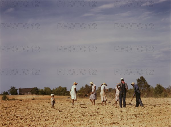 Workers Chopping Cotton on Rented Land near White Plains, Greene County, Georgia, USA, Jack Delano for Farm Security Administration - Office of War Information, June 1941