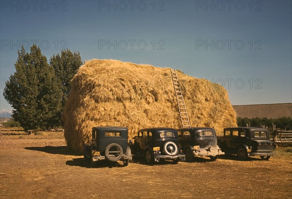 Large Hay Stack and Row of Automobiles at Peach Orchard, Delta County, Colorado, USA, Russell Lee for Farm Security Administration - Office of War Information, September 1940