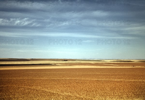 Wheat Field, Walla Walla, Washington, USA, Russell Lee for Farm Security Administration - Office of War Information, July 1941