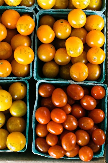 High Angle View of Cherry Tomatoes