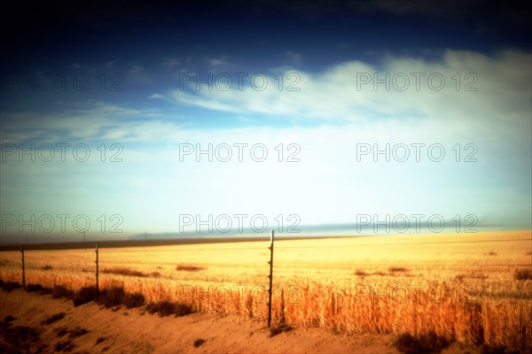 Barbed Wire Fence along Rural Landscape