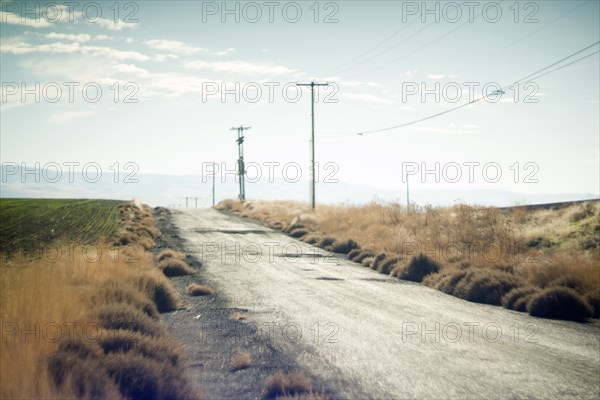 Rural Country Road through Agricultural Landscape