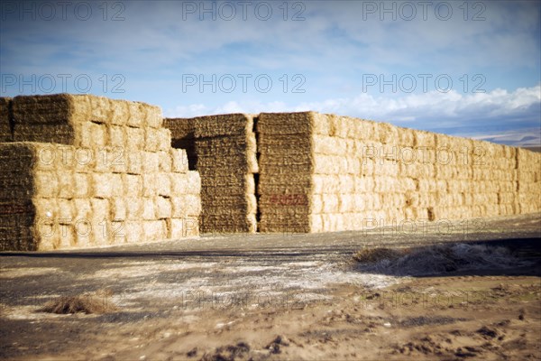 Haystacks in rural Landscape