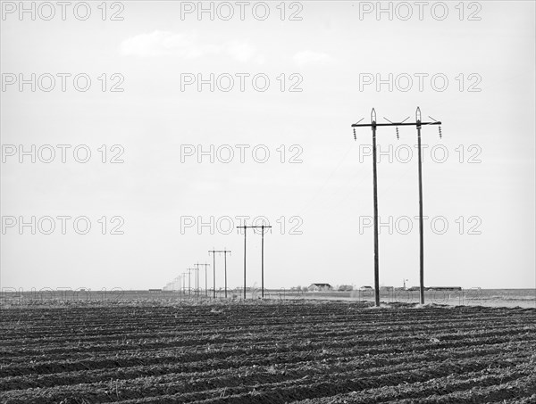 Power lines along rural highway in Dawson County, Texas, USA, Russell Lee, U.S. Farm Security Administration, March 1940