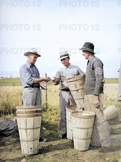 Pea pickers getting slip as they check in hampers of peas, Canyon County, Idaho, USA, Russell Lee, U.S. Farm Security Administration, June 1941