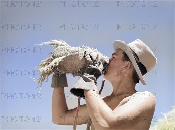 Agricultural worker working in hay field drinking from burlap-covered water bottle, Casa Grande Valley Farms, Pinal County, Arizona, USA, Russell Lee, U.S. Farm Security Administration, May 1940