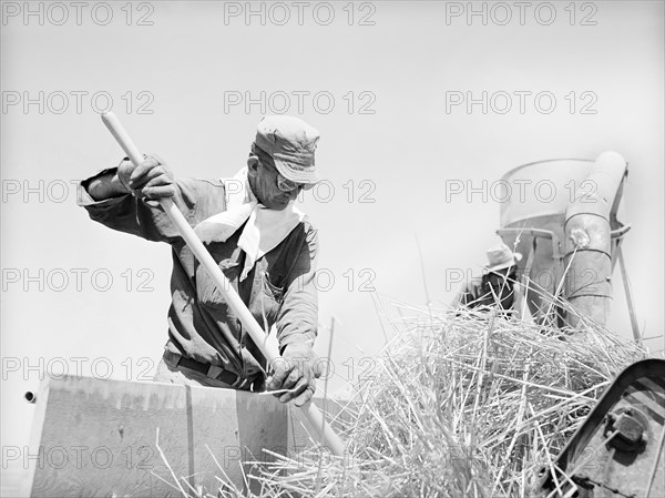 Agricultural worker at hay chopper, the Casa Grande Valley Farms, Pinal County, Arizona, USA, Russell Lee, U.S. Farm Security Administration, May 1940