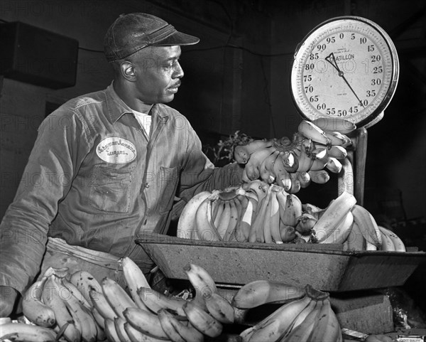 Eugene Smallwood, an employee at Curatolo Banana Corp. weighing bananas, New York City, New York, USA, Dick De Marsico, New York World-Telegram and the Sun Newspaper Photograph Collection, 1962