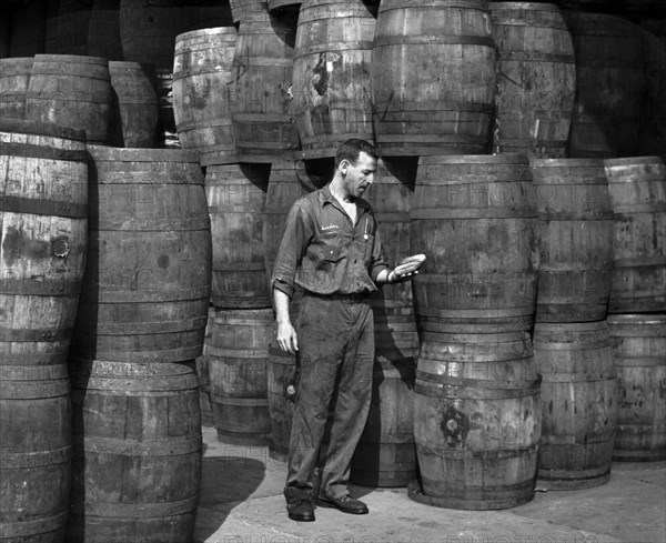 Stanley Hyams, co-owner of Washington Pickle Works, holding two pickles in a room full of barrels of dill pickles, Roger Higgins, New York World-Telegram and the Sun Newspaper Photograph Collection, 1959