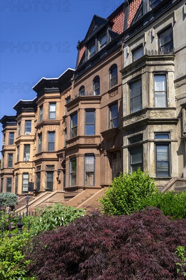 Row of brownstone houses, MacDonough Street, Bedford-Stuyvesant, Brooklyn, New York City, New York, USA