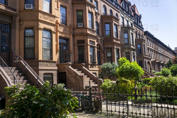 Row of brownstone houses, MacDonough Street, Bedford-Stuyvesant, Brooklyn, New York City, New York, USA