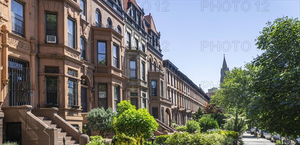 Row of brownstone houses, MacDonough Street, Bedford-Stuyvesant, Brooklyn, New York City, New York, USA