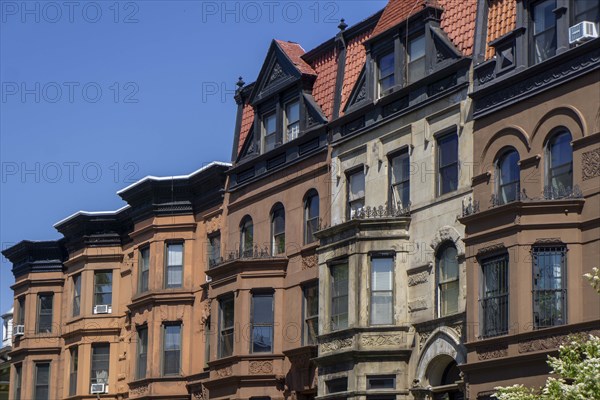 Row of brownstone houses, MacDonough Street, Bedford-Stuyvesant, Brooklyn, New York City, New York, USA