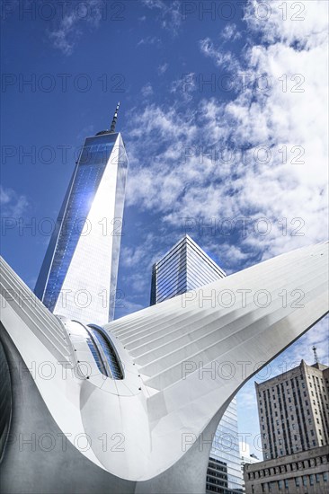 Oculus Transportation Hub and One World Trade Center, Financial District, New York City, New York, USA