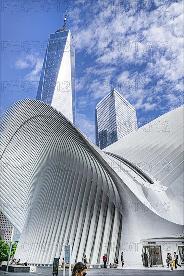 Oculus Transportation Hub and One World Trade Center, Financial District, New York City, New York, USA