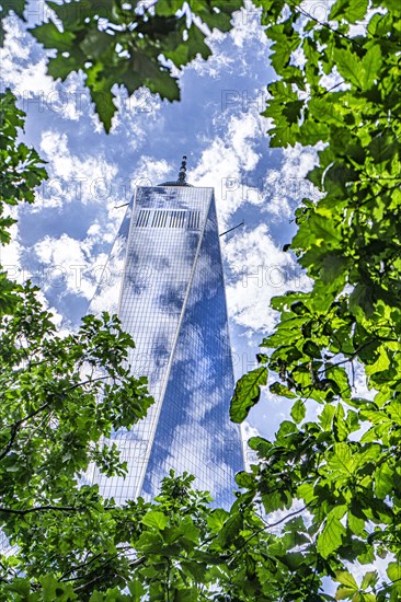 One World Trade Center, low angle view, building exterior surrounded by trees against clouds and blue sky, New York City, New York, USA