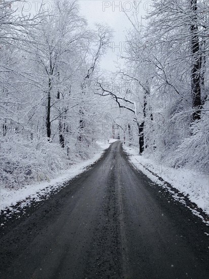 Rural winter road