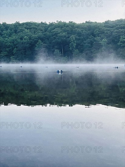 Misty lake at sunset