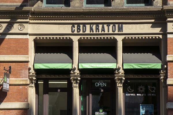 CBD Kratom Cannabis Dispensary, New York City, New York, USA