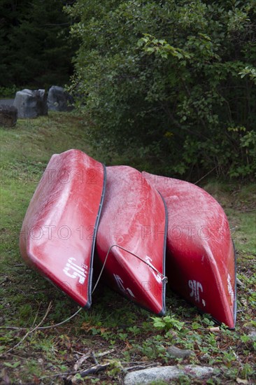 Three red canoes