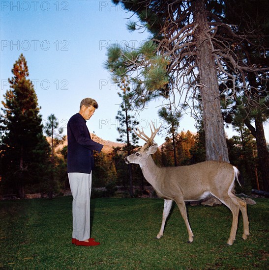 U.S. President John F. Kennedy feeding a deer, Lassen Volcanic National Park, California, USA, Cecil Stoughton, White House Photographs, September 27, 1963