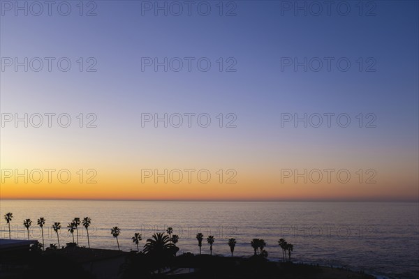 Ocean sunset with silhouettes of palm trees