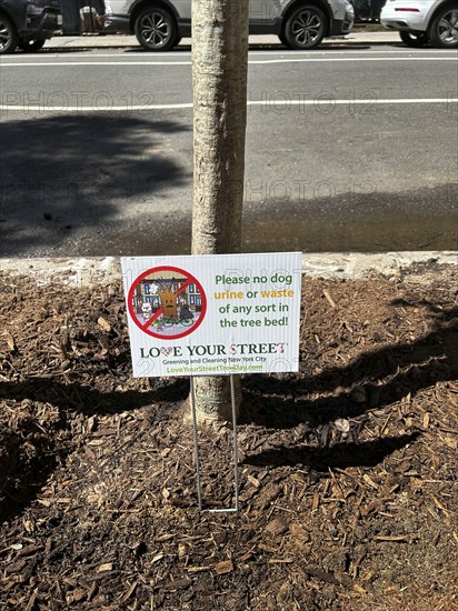 Love Your Street sign, New York City, New York, USA