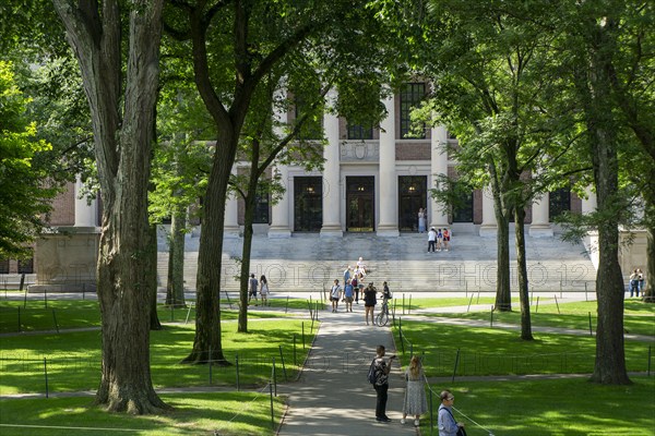 The Harry Elkins Widener Memorial Library, building exterior, Harvard Yard, Harvard University, Cambridge, Massachusetts, USA