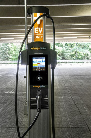 Electric vehicle charging station, IKEA home furnishings store parking lot, Stoughton, Massachusetts, USA