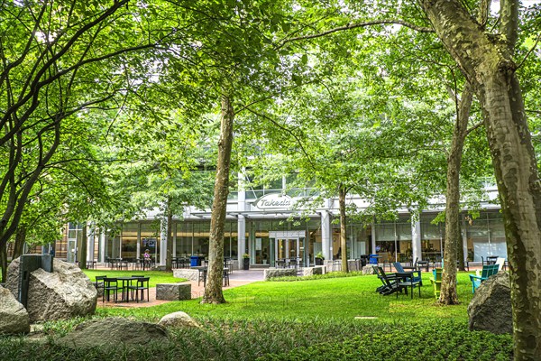 Takeda Pharmaceutical Company, building exterior and leafy outdoor lounge area, Cambridge, Massachusetts, USA