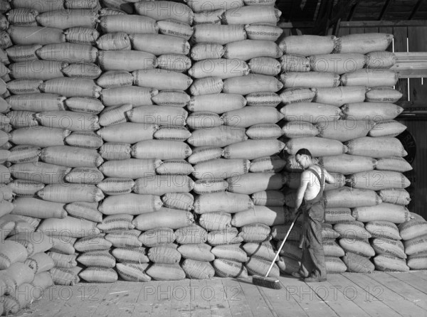 Man sweeping floor near stacked sacks of wheat in warehouse, Walla Walla County, Washington, USA, Russell Lee, U.S. Farm Security Administration, July 1941