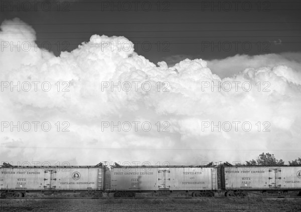 Freight cars, Camden, North Carolina, USA, Jack Delano, U.S. Farm Security Administration, July 1940