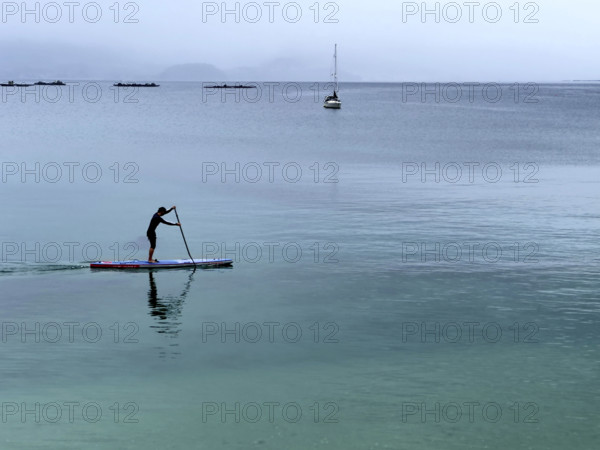 Man paddle boarding on calm water, Bueu, Pontevedra, Galicia, Spain