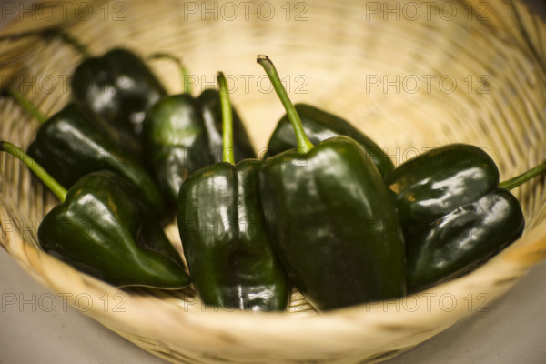 Bowl of Poblano chile peppers