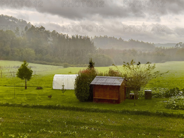 Rural landscape, Galicia, Spain