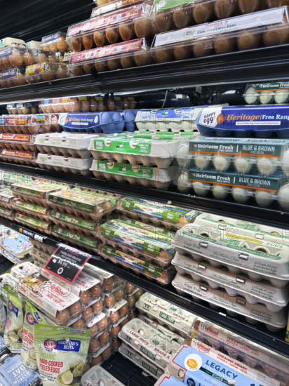 Grocery store egg section