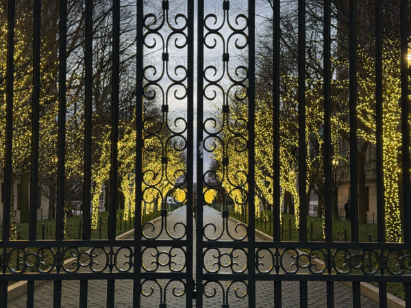 Entrance Gate at College Walk at dusk with illuminated lights wrapped around trees, Columbia University, New York City, New York, USA