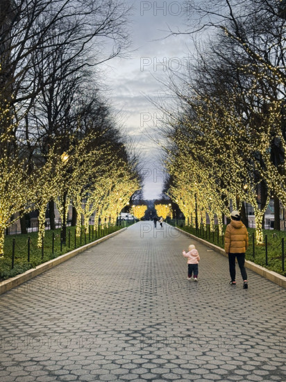 College Walk at dusk with illuminated lights wrapped around trees, Columbia University, New York City, New York, USA