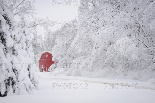 Red barn in snowy landscape