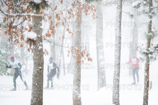 Competitors racing through wooded landscape during Nordic skiing segment of North American Vasa Festival of Races, Traverse City, Michigan, USA