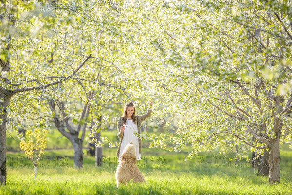 Young adult woman and her dog enjoying blossoming cherry orchard