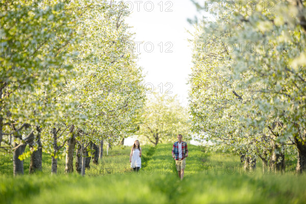 Teen couple walking in blossoming cherry orchard