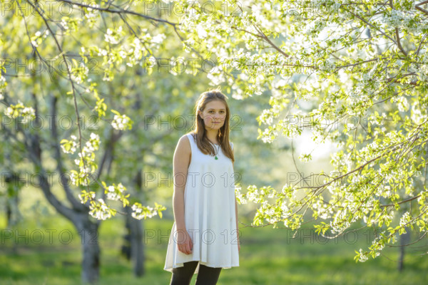 Portrait of Young adult woman in blossoming cherry orchard