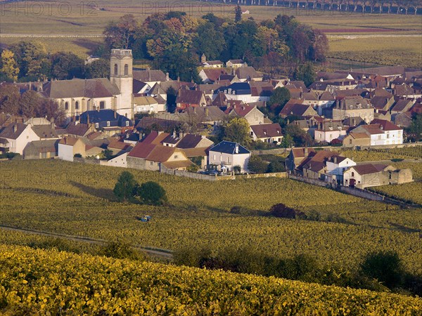 Pommard, Côte-d'Or