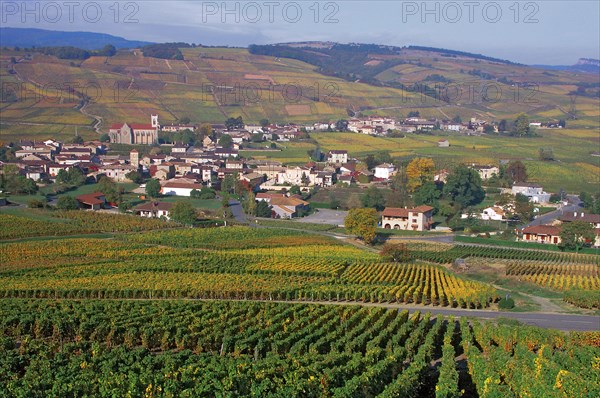 Pouilly-Fuissé, Saône-et-Loire