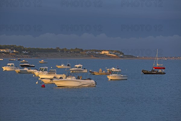 La-Tranche-sur-Mer, Vendée