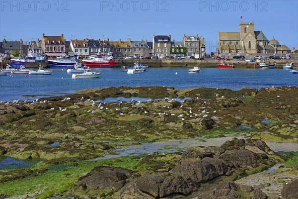 Barfleur, Manche